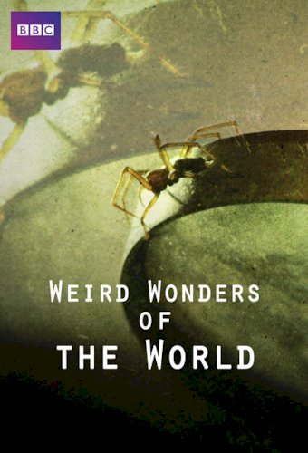 Weird Wonders of the World