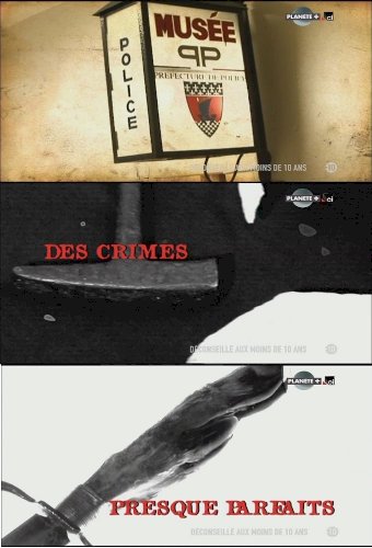 Des Crimes Presque Parfaits