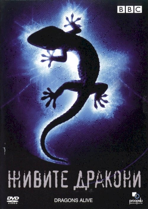 Dragons Alive