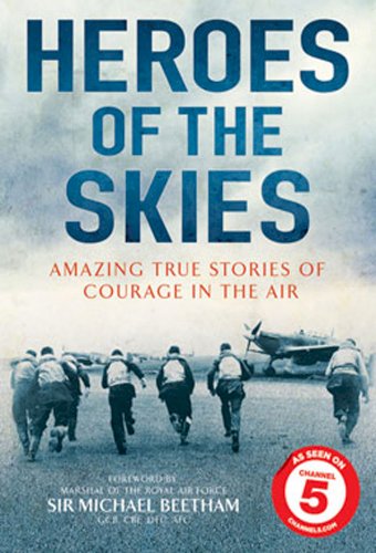 Heroes of the Skies