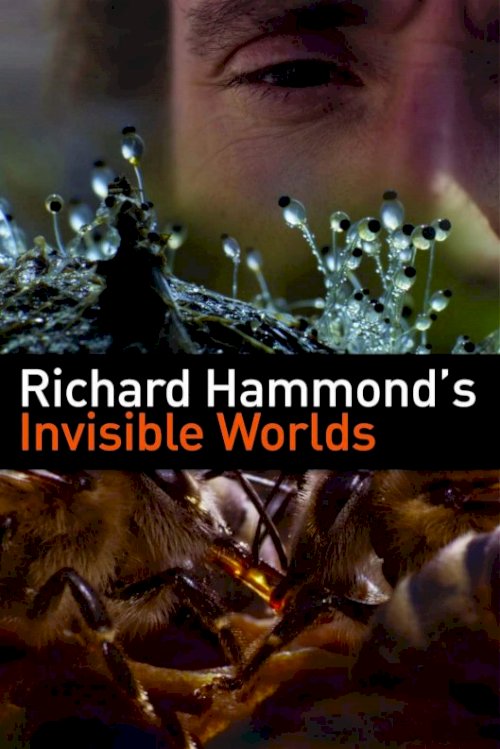 Richard Hammond's Invisible Worlds