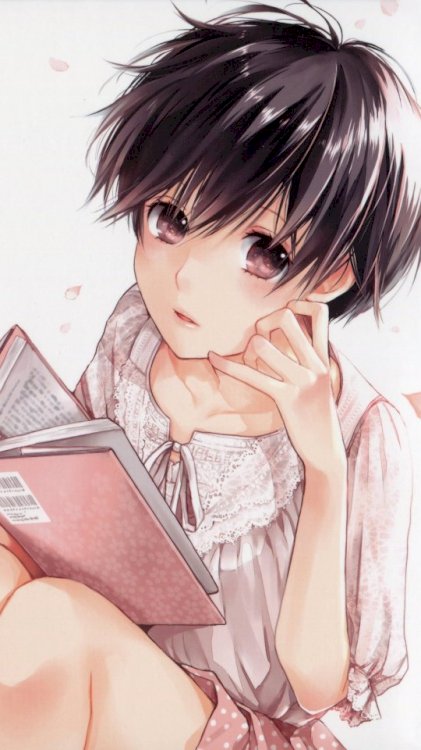 Bokura wa minna kawaisou