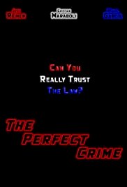 The Perfect Crime