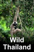 Wild Thailand