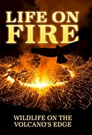 Life on Fire