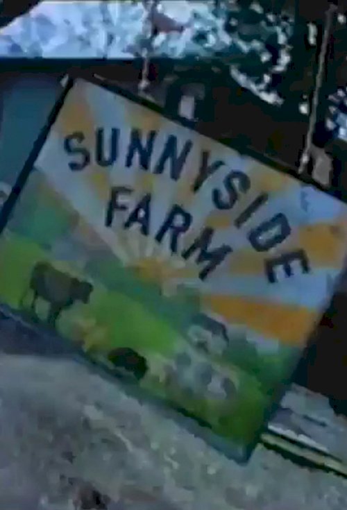 Sunnyside Farm