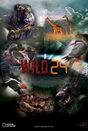 Wild 24