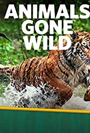 Animals Gone Wild