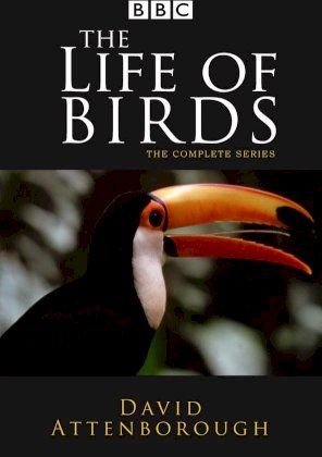 The Life of Birds