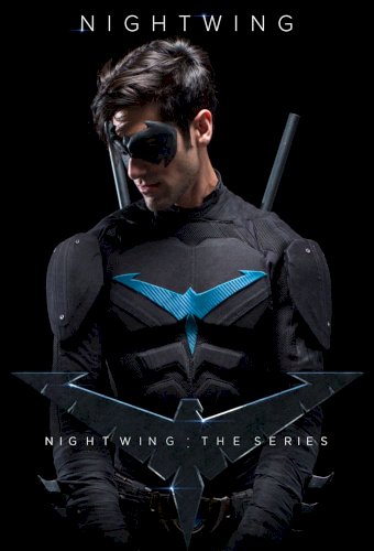 Nightwing: The Series
