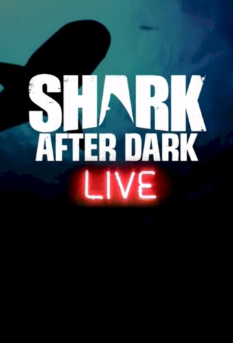 Shark After Dark