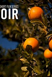 Terroir