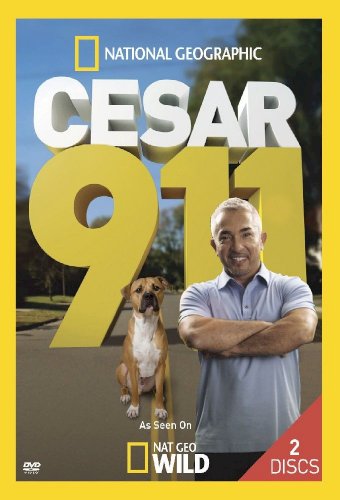 Cesar 911