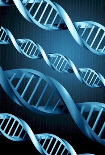 DNA