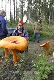 Russian Horror Stories