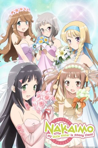 Kono naka ni hitori, imouto ga iru!