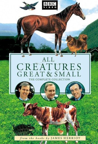 All Creatures Great & Small
