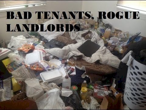 Bad Tenants, Rogue Landlords