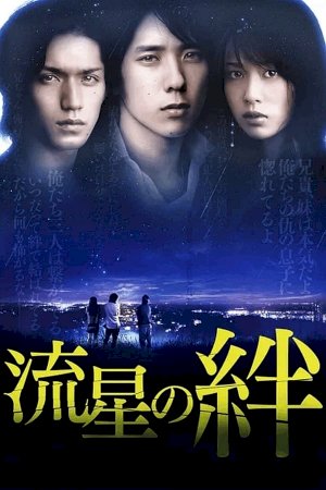Ryûsei no kizuna