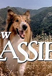 The New Lassie