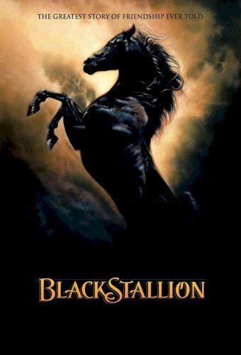 The Adventures of Black Stallion