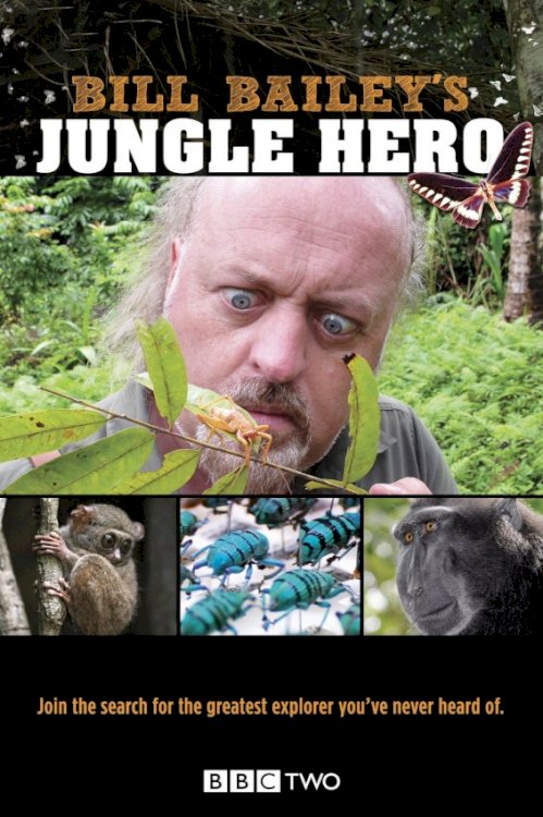 Bill Bailey's Jungle Hero