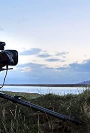 Wild Cameramen at Work