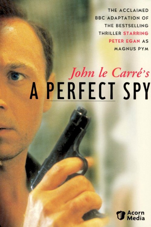 A Perfect Spy