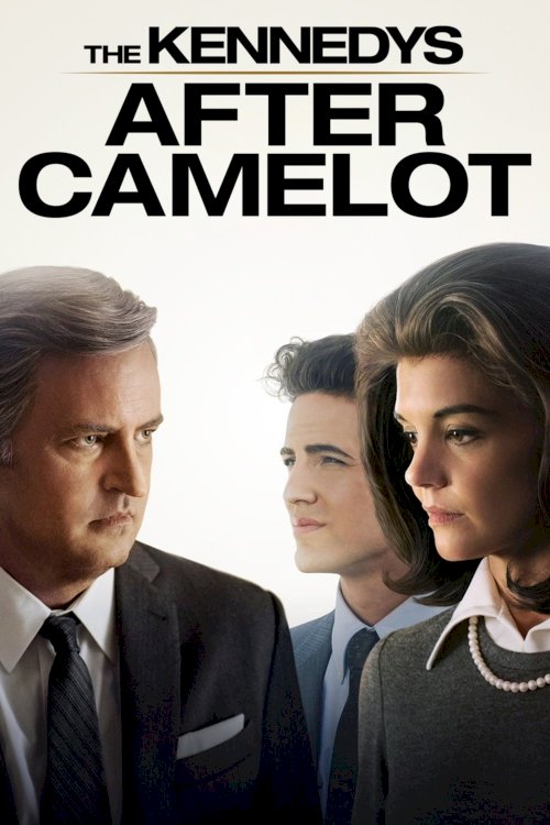 The Kennedys After Camelot