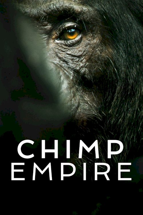 Chimp Empire