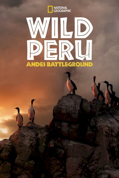 Wild Peru: Andes Battleground