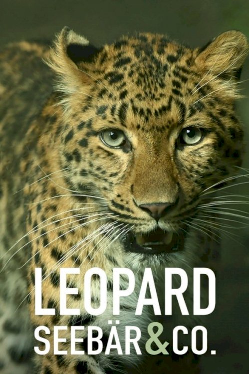 Leopard, Seebär & Co. ist eine Zoo-Doku-Soap welche der NDR im Hamburger Tierpark Hagenbeck dreht.