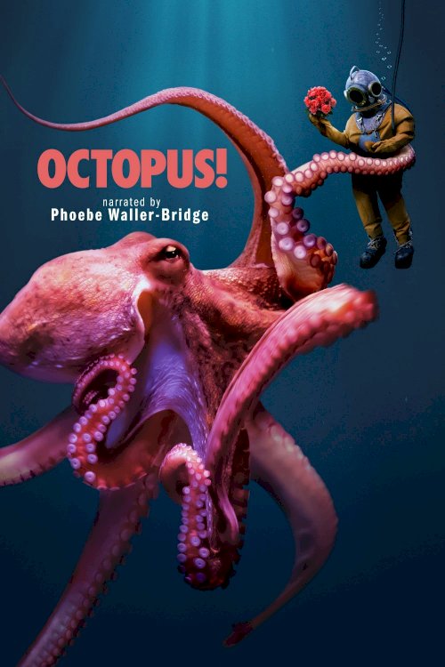 Octopus!