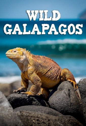 Wild Galápagos