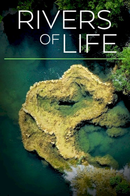 Rivers of Life