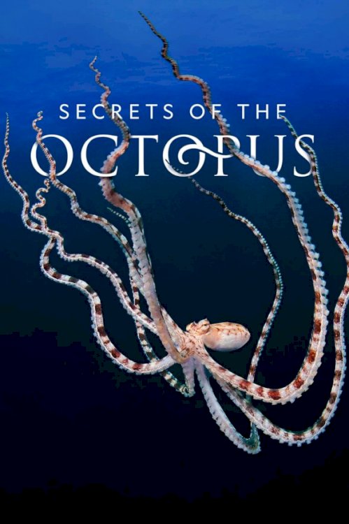 Secrets of the Octopus