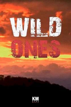 Wildest Places