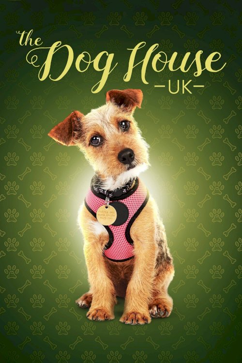 The Dog House