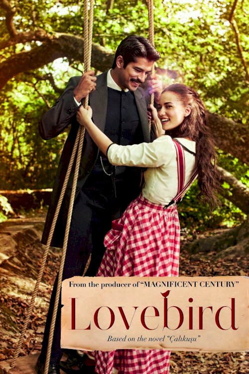 Çalikusu