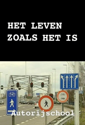 Het leven zoals het is: Autorijschool