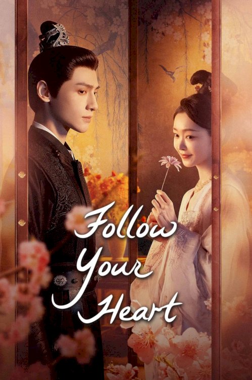 Follow Your Heart
