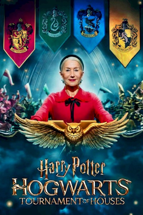 Harry Potter: Hogwarts Tournament of Houses