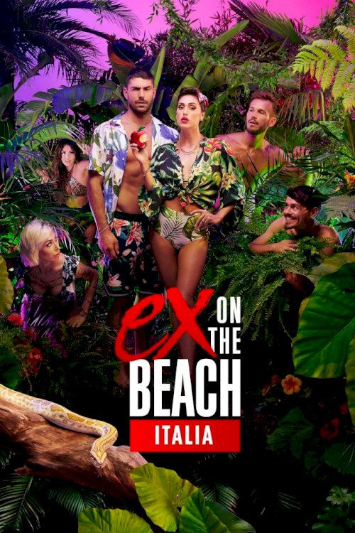 Eight attractive singles think they are the protagonists of a reality show, set in a luxurious locale. But little do they know, each single is about to be reunited with someone they never thought they'd be seeing... their ex.