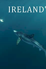 Ireland's Oceans