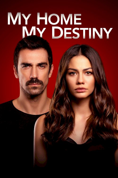Based on a real-life story, he travels to the invisible rooms of love, life and family life.