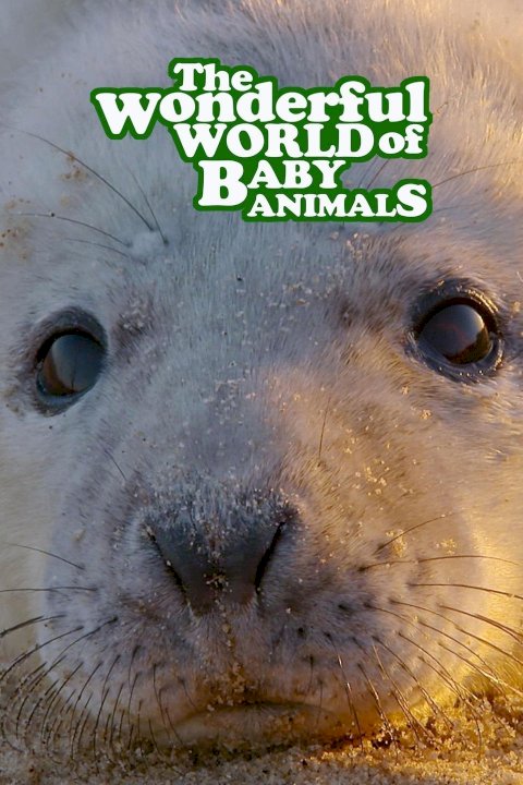 Wonderful World of Baby Animals