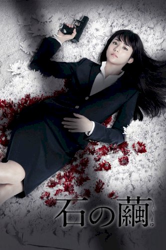 Ishi no mayu