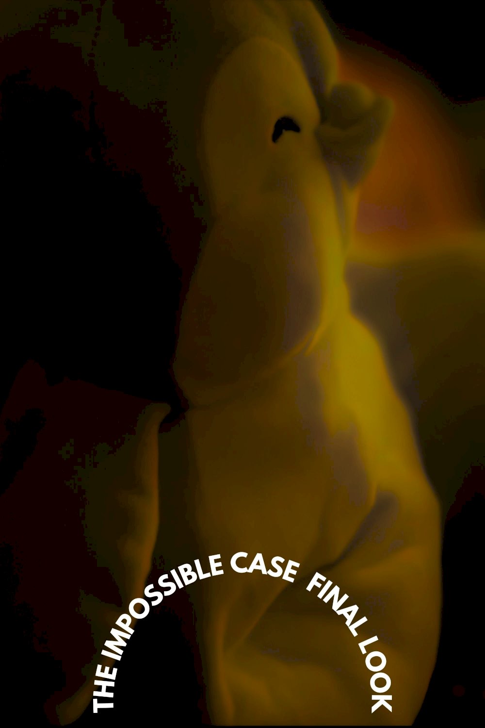 The Impossible Case: Final Look