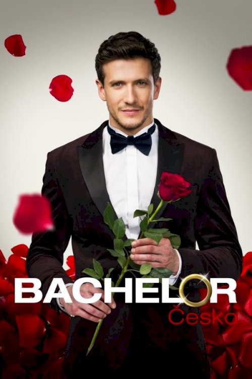 Bachelor Czech Republic
