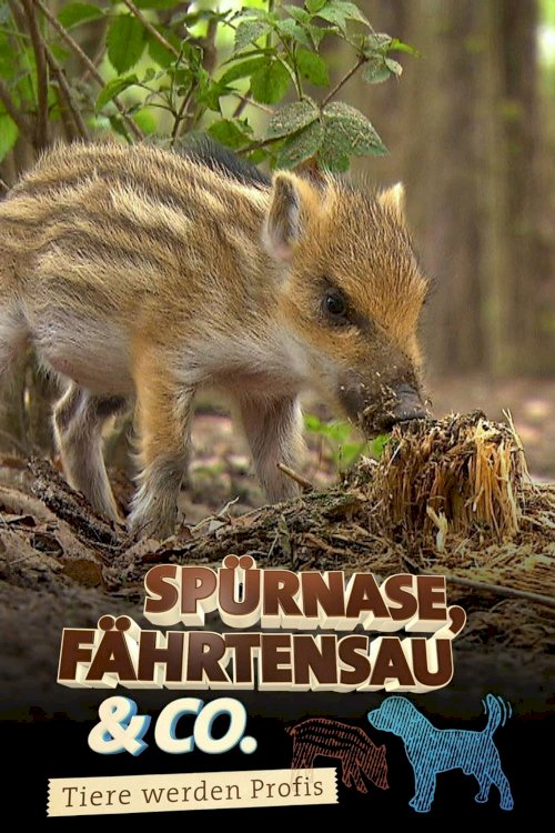 Spürnase, Fährtensau & Co.